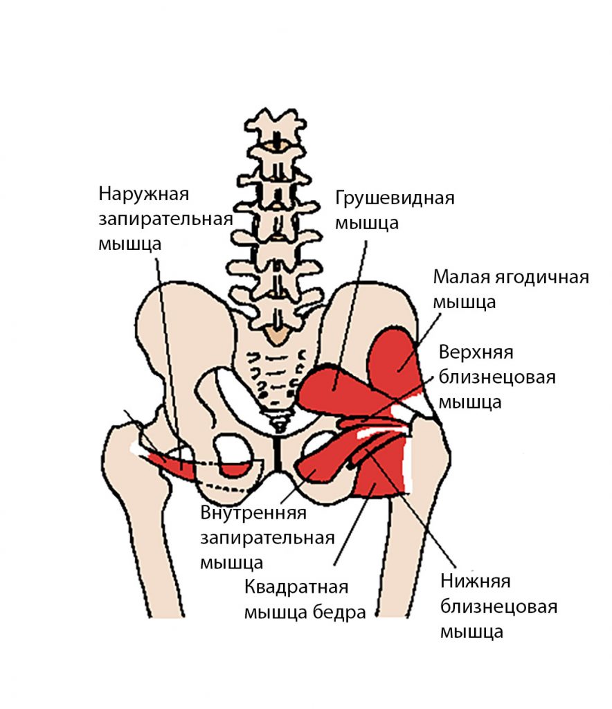 хроническая тазовая боль: причины, симптомы, лечение