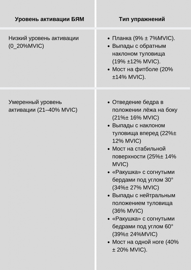 большая ягодичная мышца: анатомия, функции и упражнения