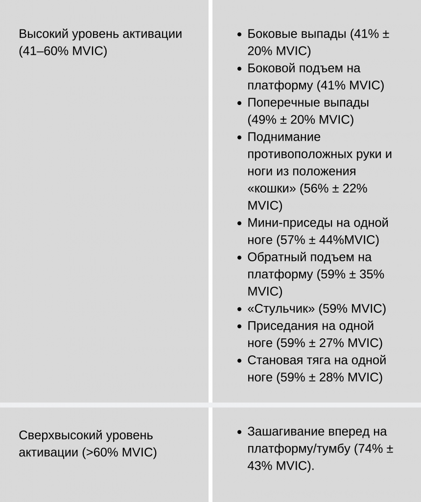 большая ягодичная мышца: анатомия, функции и упражнения