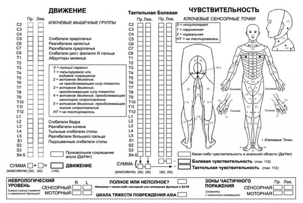 обследование шейного отдела