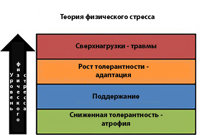 Физическая реабилитация