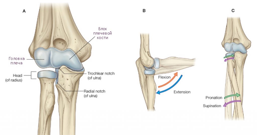 обследование локтевого сустава