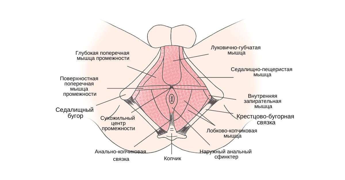 Физическая терапия у мужчин с сексуальной дисфункцией