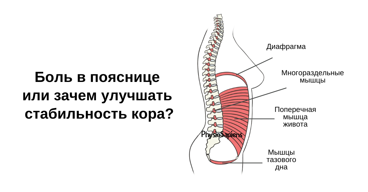 Зачем улучшать стабильность кора?